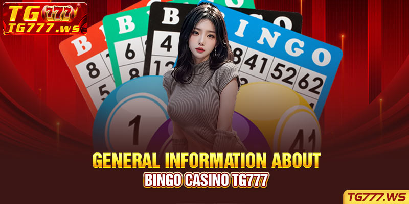 General information about Bingo Casino TG777