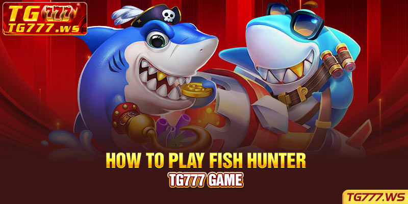 How to play Fish Hunter Tg777 game