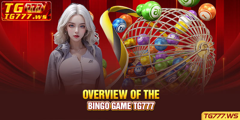 Overview of the Bingo game Tg777