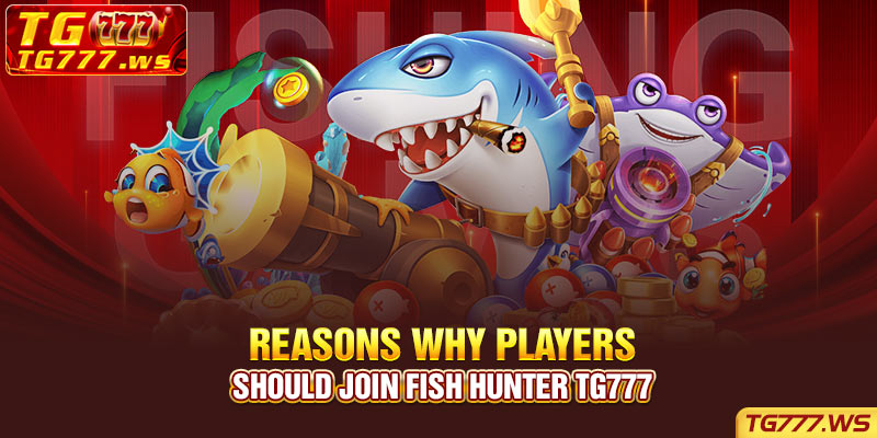 Reasons why players should join Fish Hunter Tg777