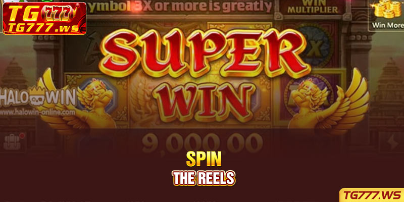 Spin the reels