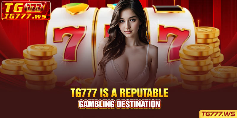 Tg777 is a reputable gambling destination