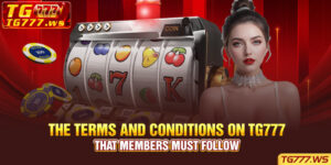 The Terms and Conditions on TG777 That Members Must Follow