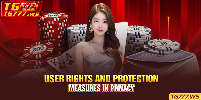 User Rights and Protection Measures in Privacy