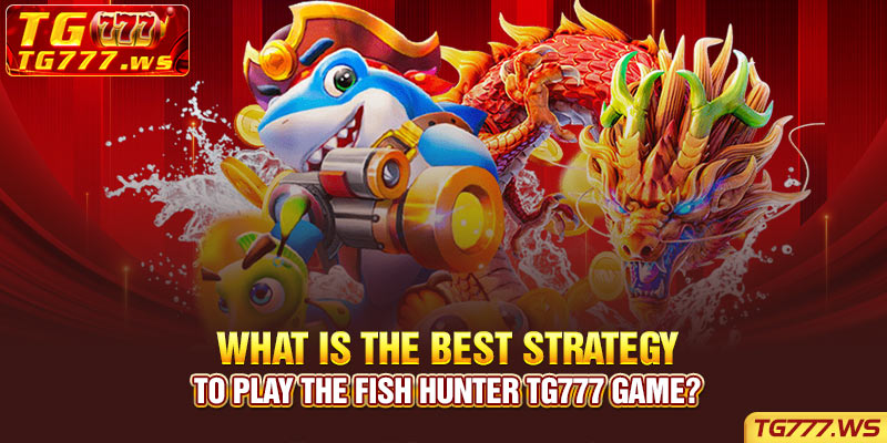 What is the best strategy to play the Fish Hunter TG777 game?