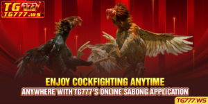 Enjoy cockfighting anytime, anywhere with TG777's Online Sabong Application