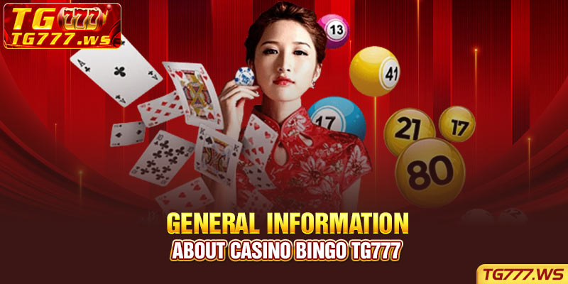 General information about Casino Bingo TG777