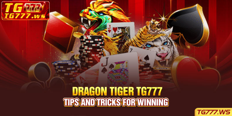 Dragon Tiger TG777 - Tips and tricks for winning 