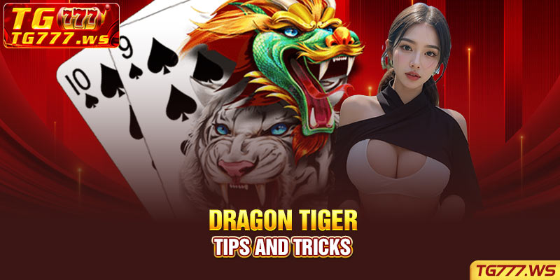  Dragon Tiger - Tips and tricks